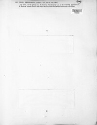 Phomopsis petiolorum image